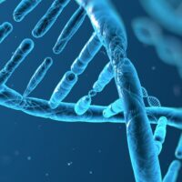 DNA
