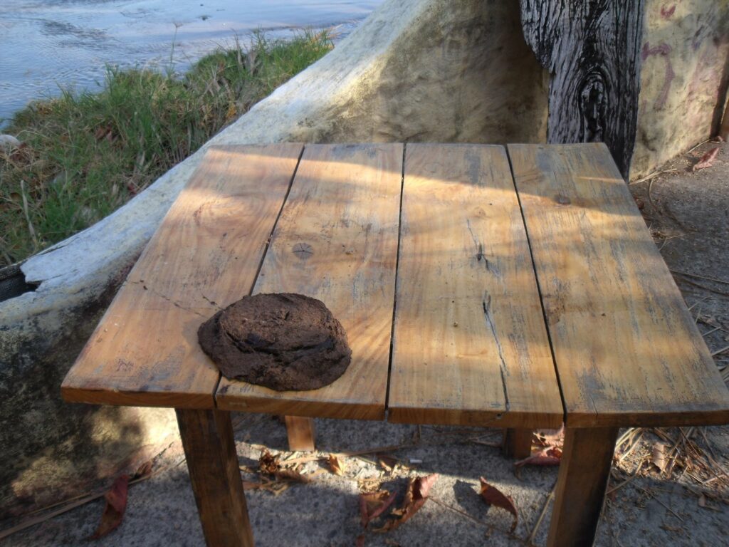 Shit on the table