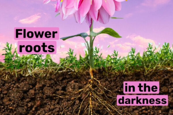 Upcoming workshop: Flower roots in the darkness, 21/12/2021